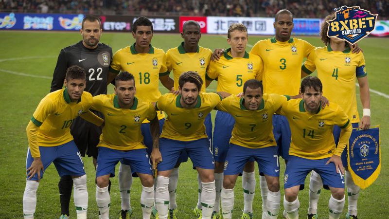 selecao là gì